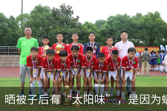 晒被子后有“太阳味”，是因为螨虫被烤焦了？科学家：太阳的功劳