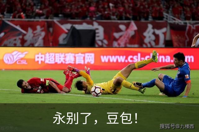 永别了，豆包！
