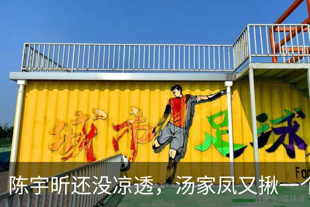 陈宇昕还没凉透，汤家凤又揪一个“精日”人员：竟然还是公司老板